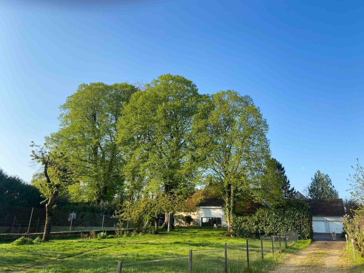 Les Grands Tilleuls Guignes Exteriör bild